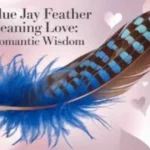 Blue Jay Feather Meaning