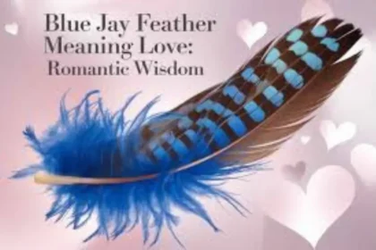 Blue Jay Feather Meaning