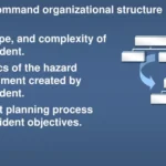 establishment of the ics modular organization is the responsibility of the