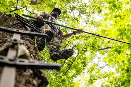 which is the safest device to use while climbing a tree or in a tree stand?